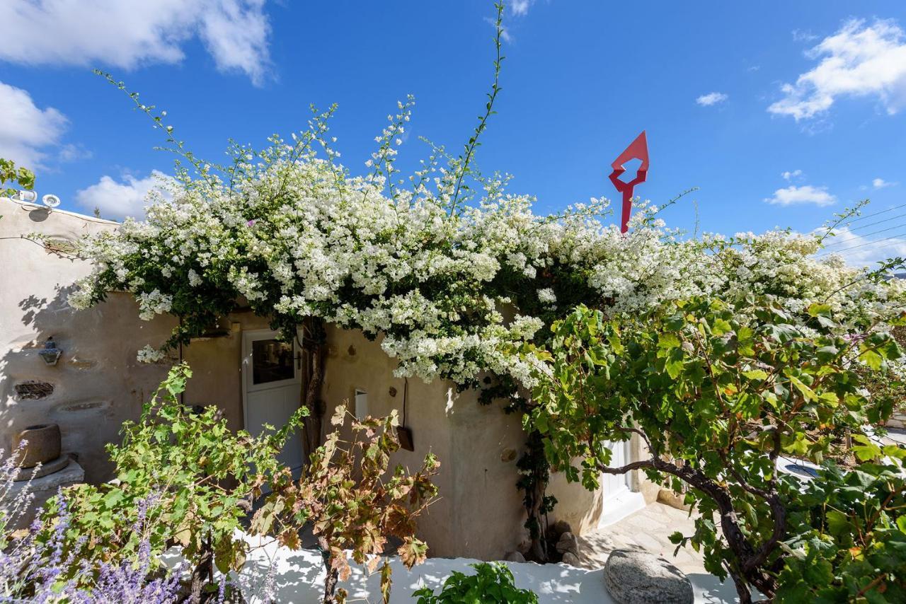 The Olive Mill Guest House Lefkes  Экстерьер фото